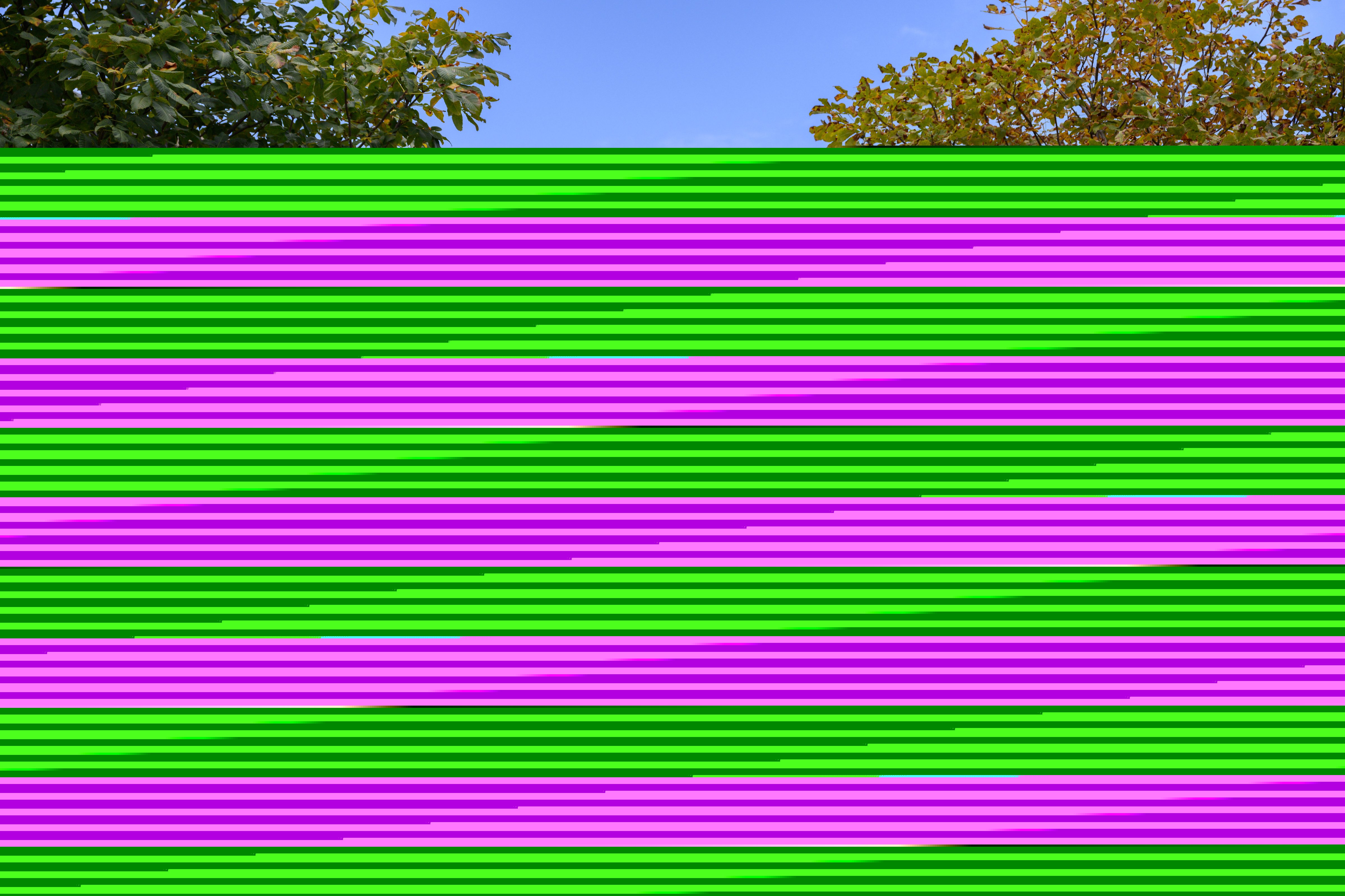 20221018_Campus_Fall_058